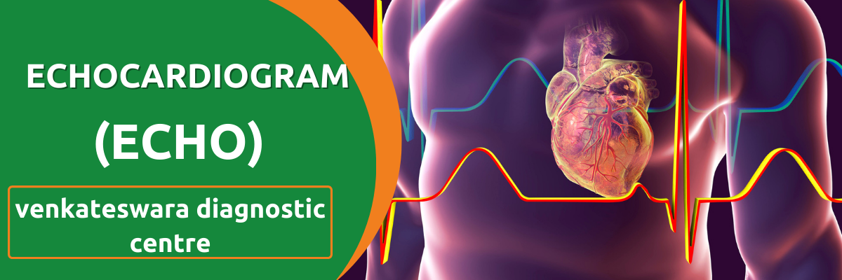 Echocardiography - venkateswara diagnostic