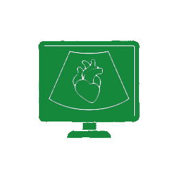 echocardiogram